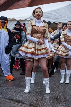 Bild 541 - Latuff 2017